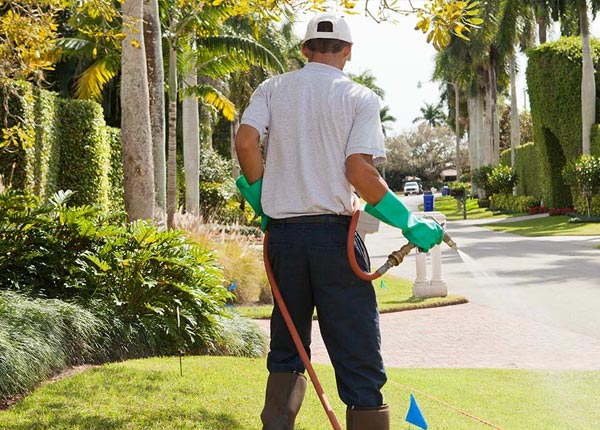 About Stewart MN Pest Control